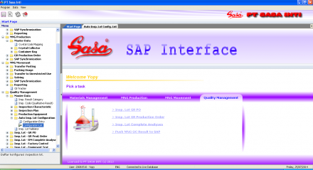 SAP Interface